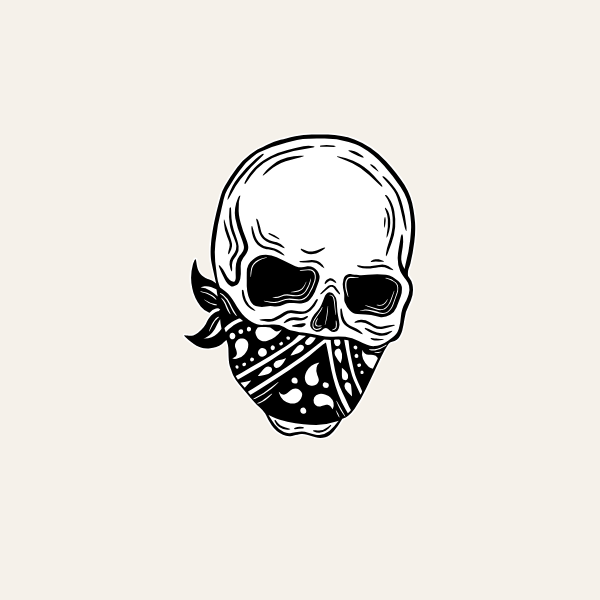 Flash design — SKULL
