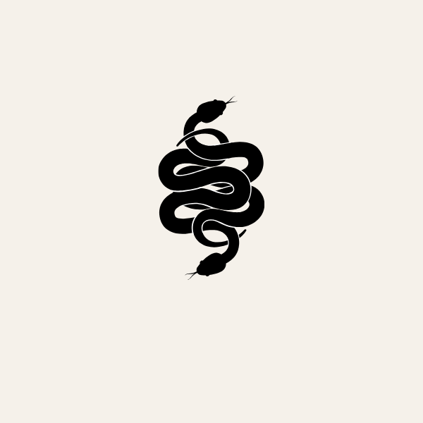Flash design — SNAKE